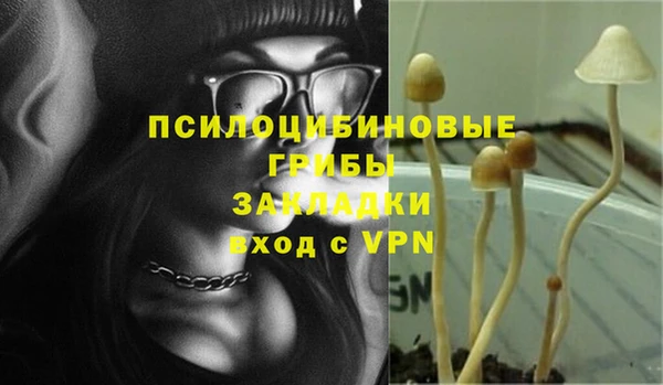 apvp Аркадак