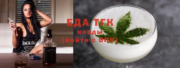 индика Снежинск