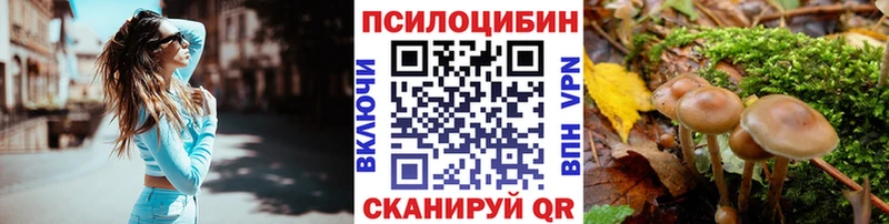 Псилоцибиновые грибы MAGIC MUSHROOMS  продажа наркотиков  Белозерск 